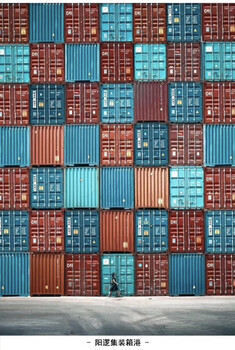 武漢國際貨運代理 進出口貿(mào)易與互聯(lián)網(wǎng)銷售的全方位物流解決方案