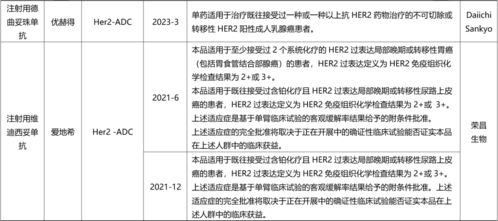 盤點國內已上市ADC與雙抗藥物全景圖及國內貿易代理格局