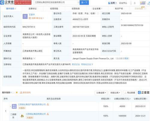 國內貿易代理 連接供需的專業橋梁